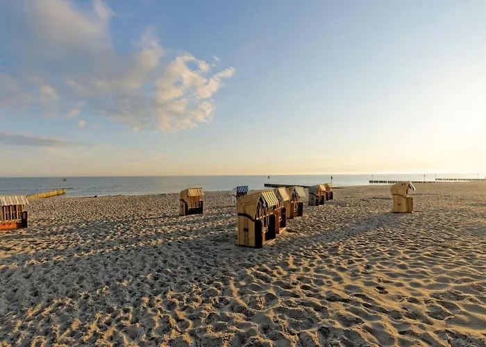 Koala Kolobrzeg, 50 M Do Plazy, Garaz-po Wczesniejszej Rezerwacji U Wlascicieli, Wifi, Mile Widziane Czworonogi Apartment *